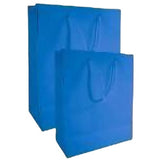 Large Gift Bag