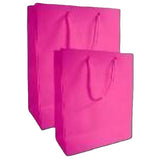 Large Gift Bag