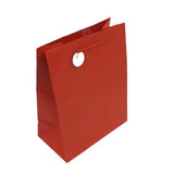 Large Gift Bag