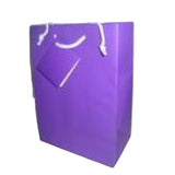 Medium Gift Bag (1.49)