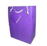 Large Gift Bag